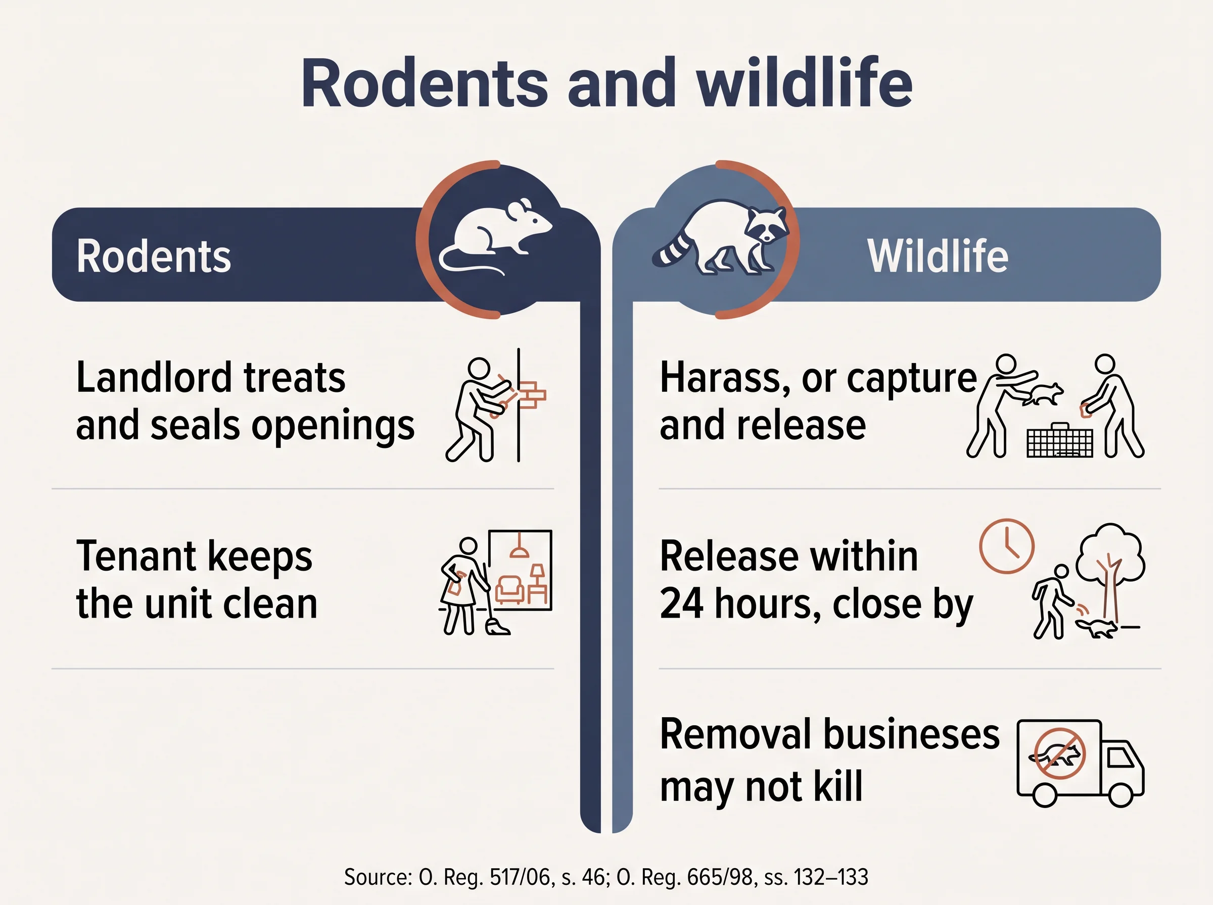 Comparison of rules for rodents and for wildlife such as raccoons in Ontario rentals.