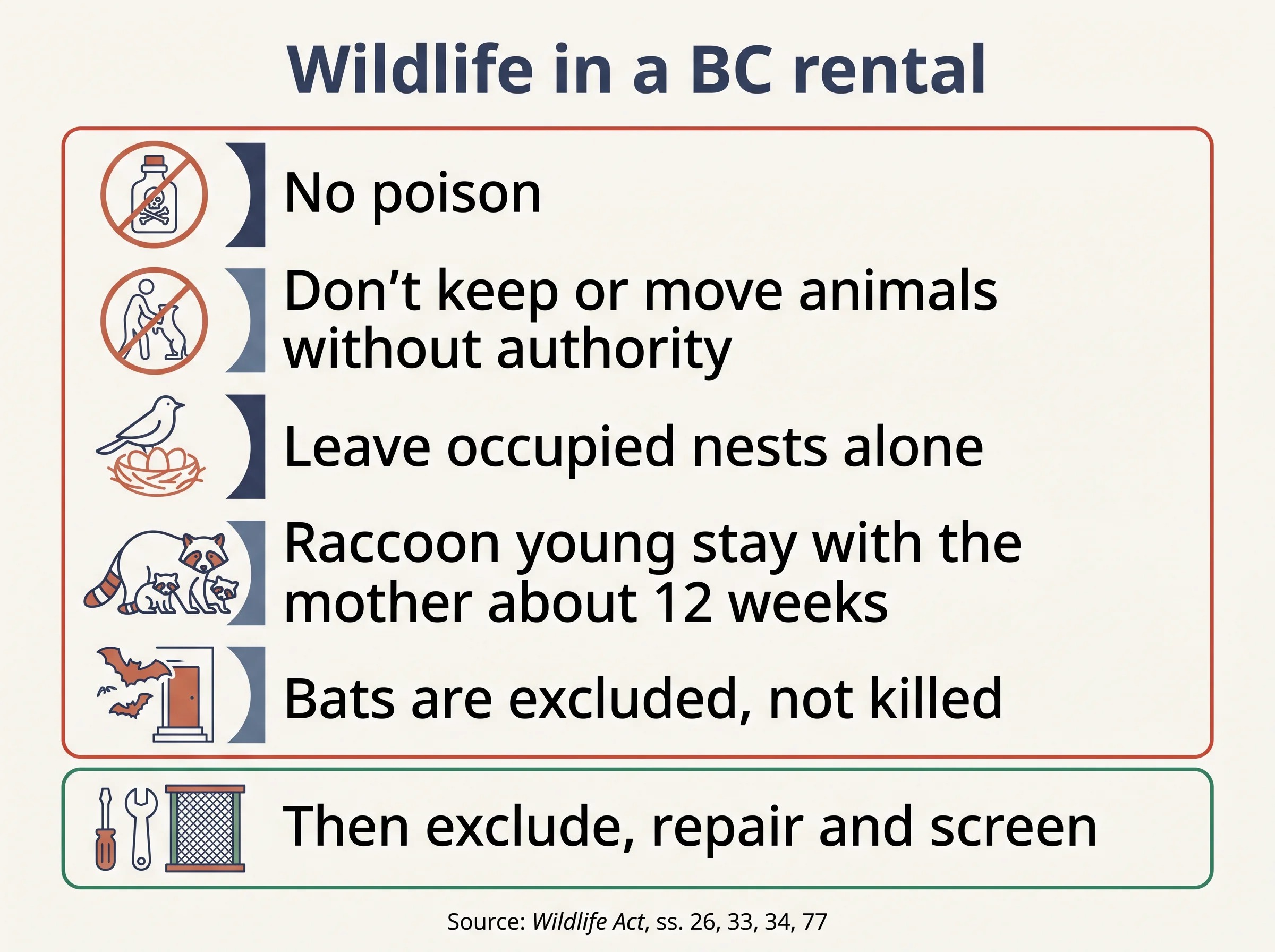Rules for raccoons, birds and bats in a BC rental: no poison, leave nests, exclude then repair.