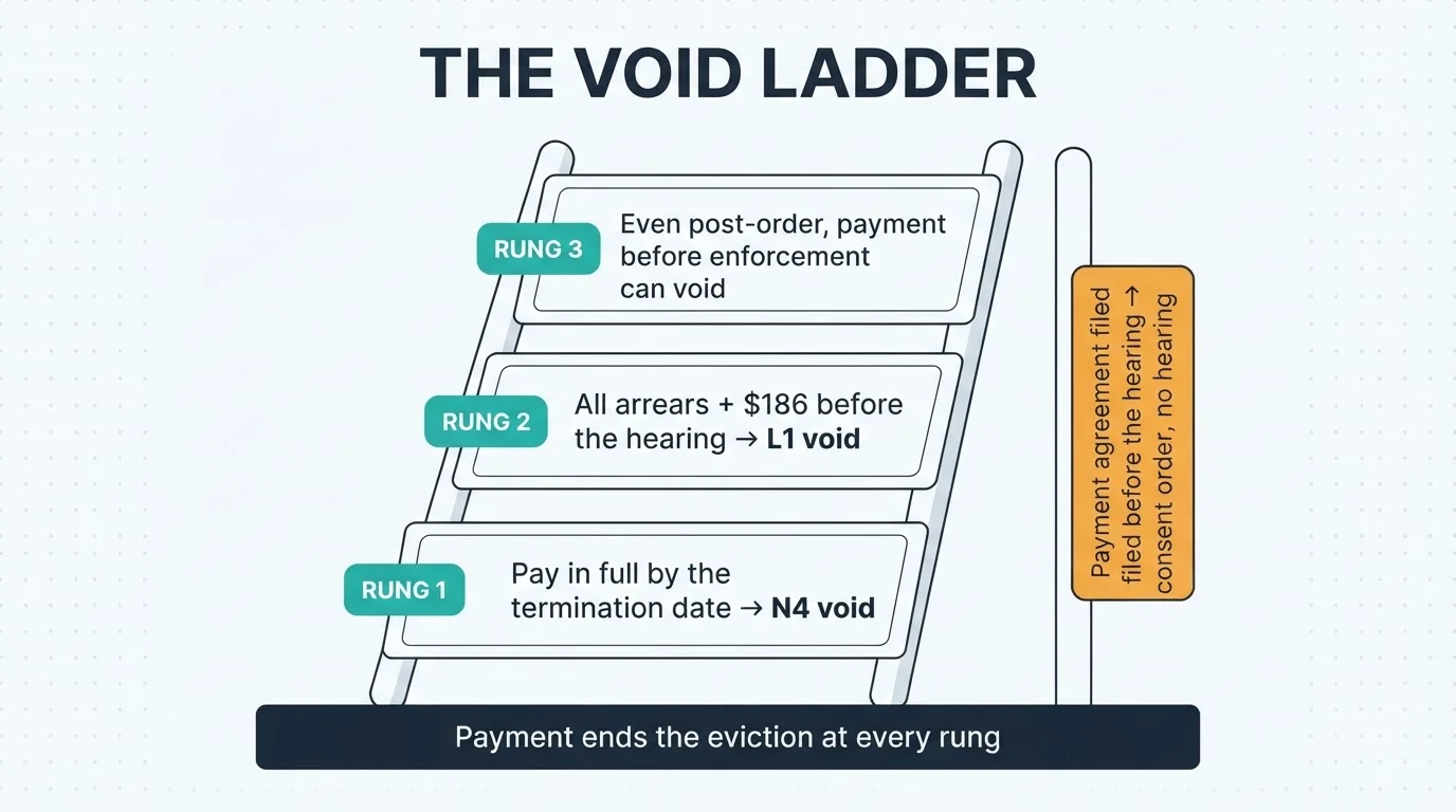 The void ladder: paying in full by the termination date voids the N4, paying all arrears plus the filing fee before the hearing voids the L1, and even post-order payment before enforcement can void — with a payment agreement rail leading to a consent order