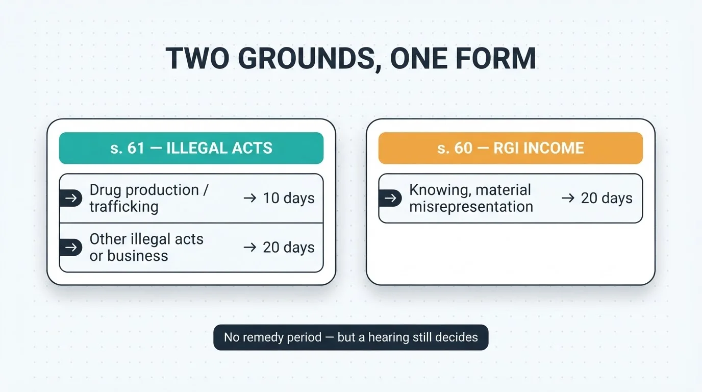 Infographic showing the N6's two grounds: section 61 illegal acts with 10-day and 20-day notice periods, and section 60 RGI income misrepresentation with a 20-day period, noting there is no remedy period but a hearing still decides