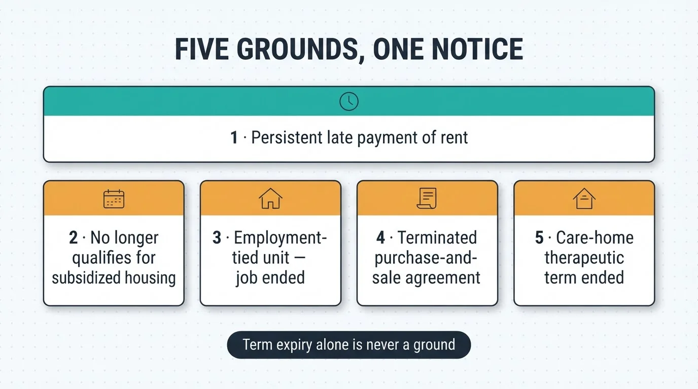 Infographic of the N8's five grounds, led by persistent late payment of rent, with a footnote that term expiry alone is never a ground